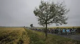 Peloton v otevřené krajině šesté etapy Tour