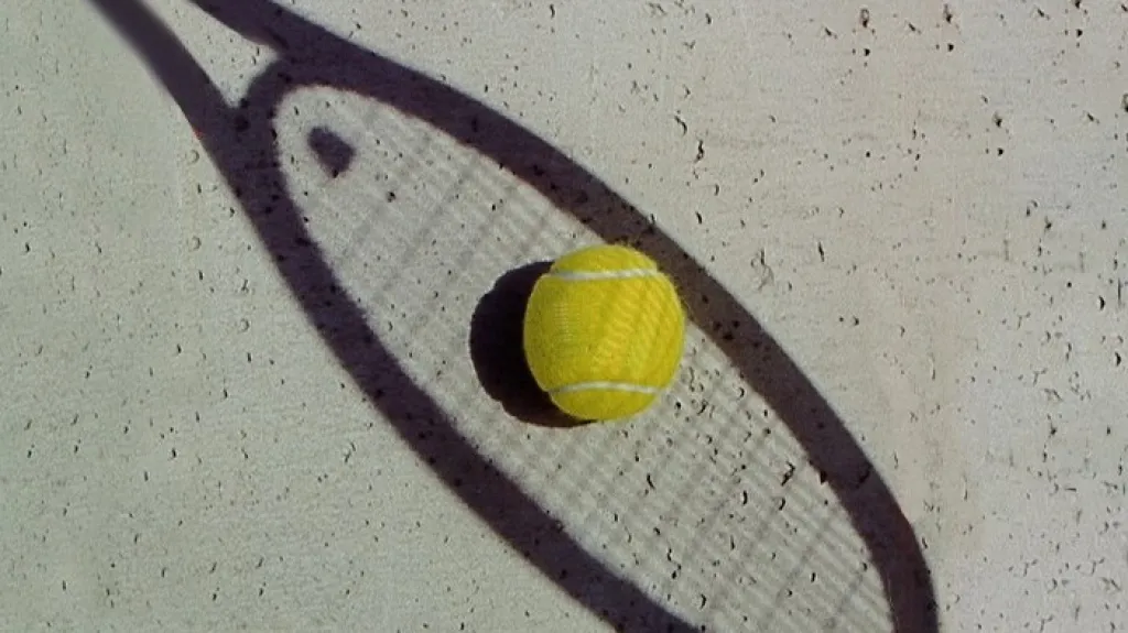 Tenis