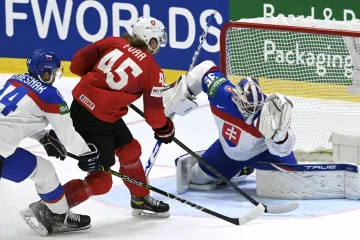 Utkání Švýcarsko - Slovensko