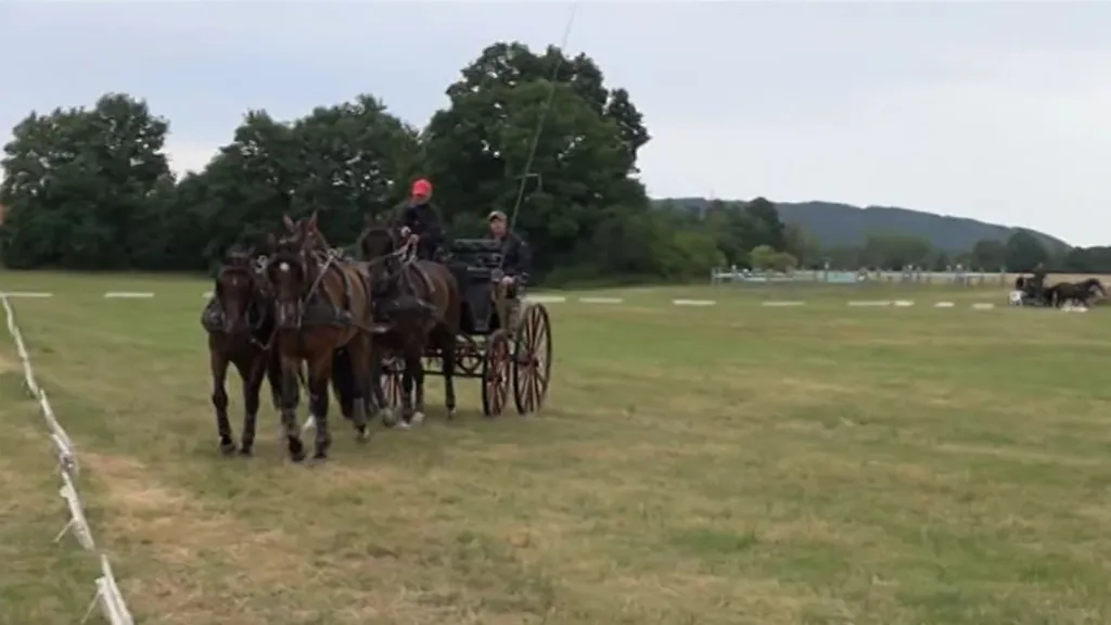 Elitní vozataje čeká v Nebanicích závod světového poháru