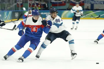 Utkání Slovensko – Finsko