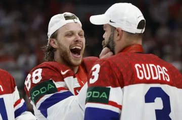 David Pastrňák a Radko Gudas