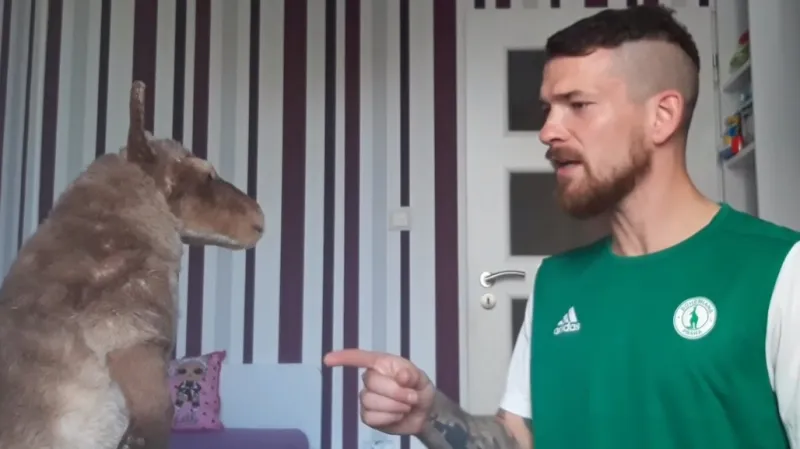 Bohemians cvičili na virtuální duel s herci. Taktiku neprozradíme, směje se Dostál