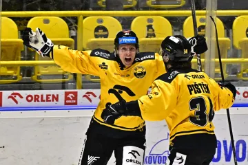 Radost hokejistů Litvínova