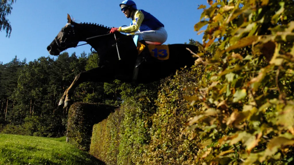 Tomáš Hurt na koni Decent Fellow při Velké pardubické