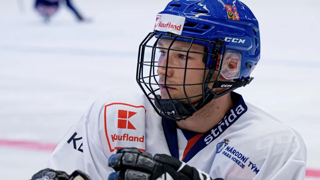 Česká parahokejová reprezentace