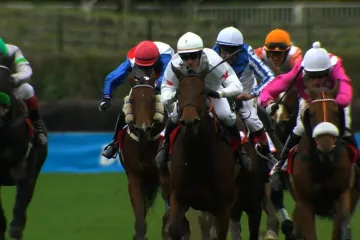 Cena Nadace pro rozvoj města Pardubic