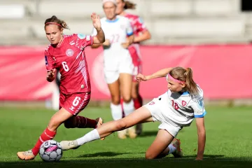 Utkání Dánsko – Česko