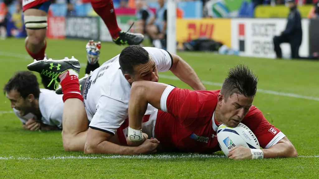 D. T. H. van der Merwe