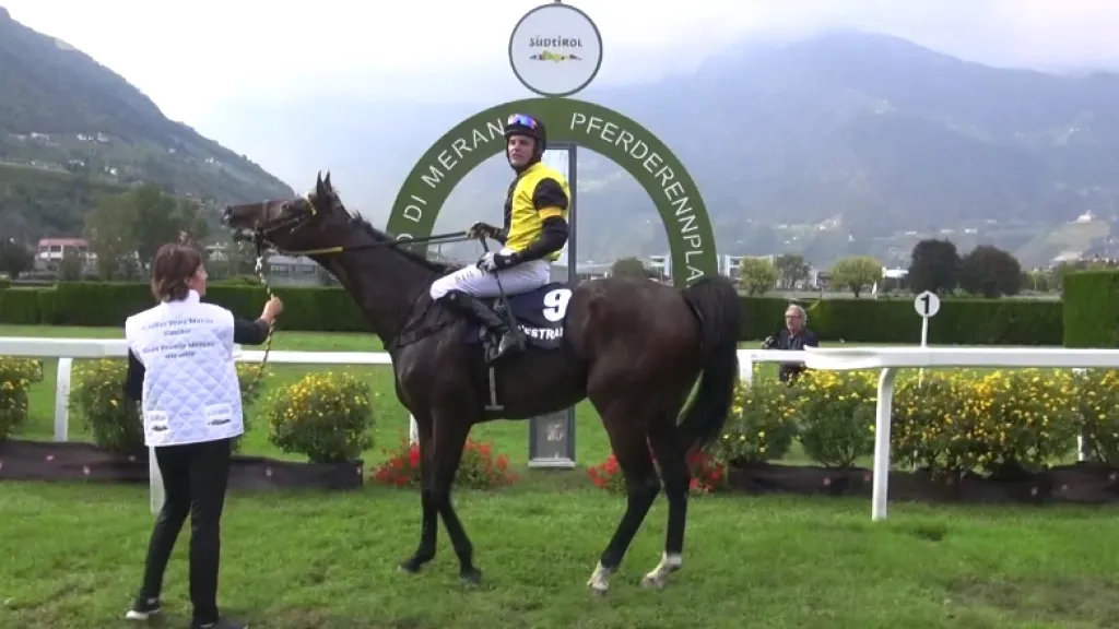 Velkou cenu Merana vyhrál Bartoš s Váňovým koněm