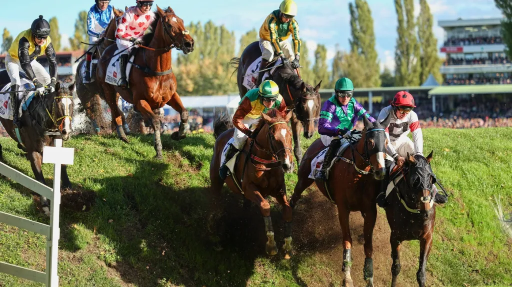 Velká pardubická 2024