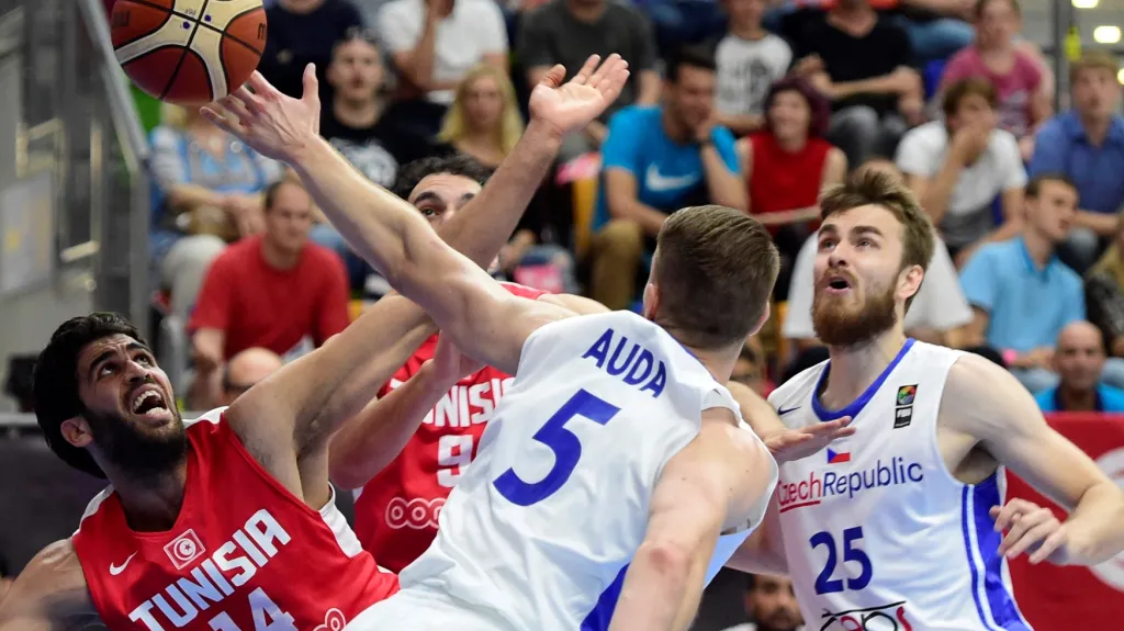Utkání Česko - Tunisko
