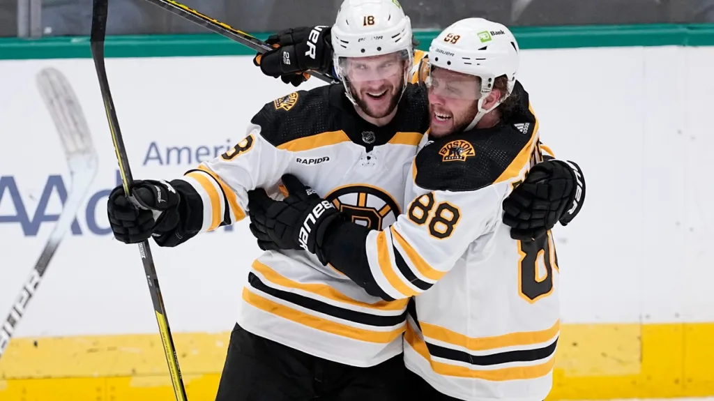 Pavel Zacha a David Pastrňák se radují z gólu Bostonu