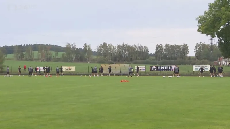 Jak si stojí lvíčata před utkání s Walesem?