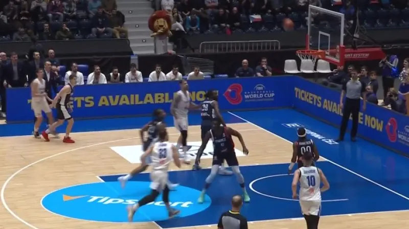 Čeští basketbalisté podlehli Francii