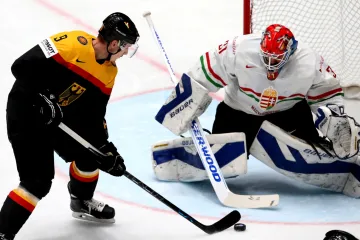 Německo - Maďarsko