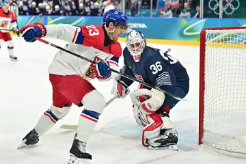 Útočník Lukáš Sedlák v utkání proti Francii