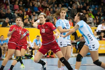 Utkání Česko - Argentina