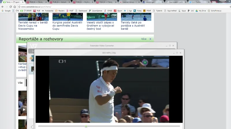 Nišikori postoupil po boji, dál jde i Cibulková