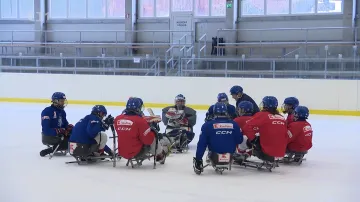 Parahokejisté se budou muset v Pekingu obejít bez trenéra Břízy