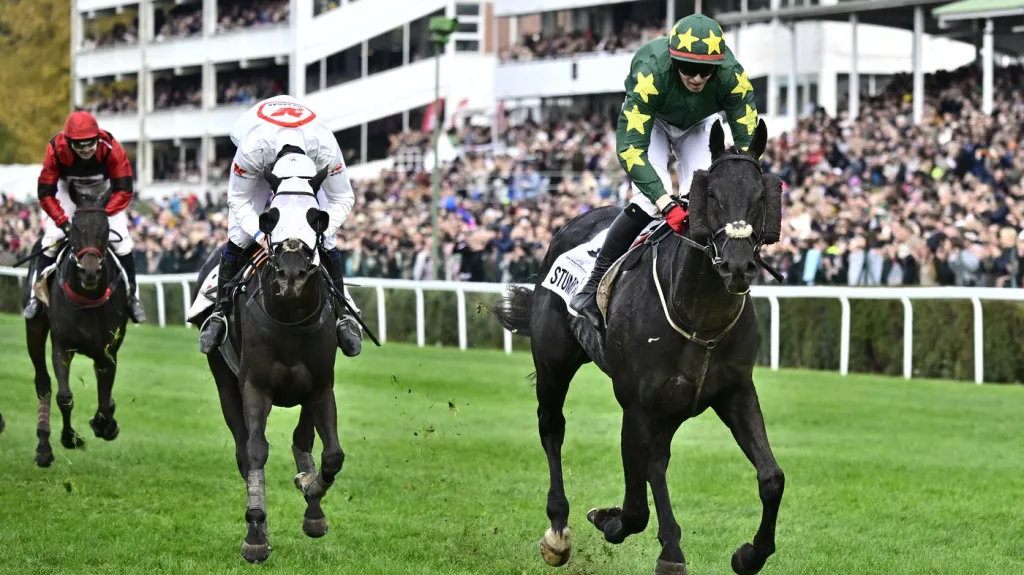 Stumptown vítězem Velké pardubické