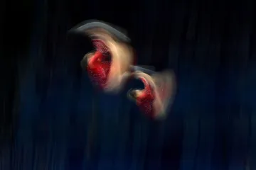 Skoky na trampolíně