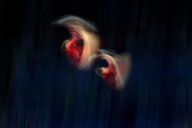 Kubík a Juříčková se překonávali a v premiéře mixu na MS ve skocích na trampolíně byli pátí