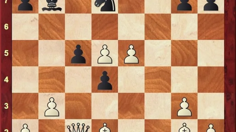 Aronjan – Navara, pozice po 20. tahu černého