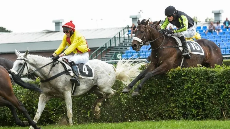 Ter Mill a Templář