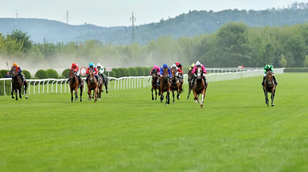 Dostihy ve Velké Chuchli