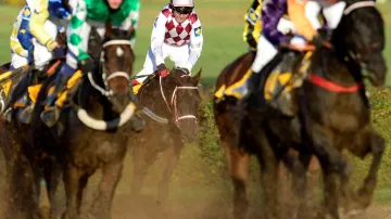 Josef Váňa ve 123. ročníku Velké pardubické