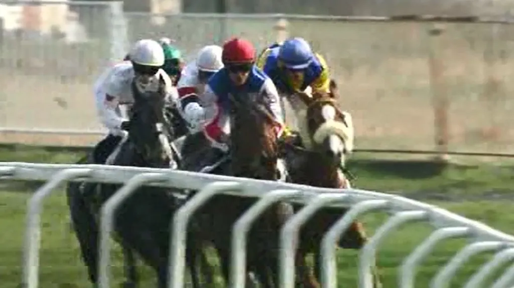 Ve Velké Chuchli byl na programu Gomba handicap