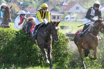 Dostihy ve Slušovicích