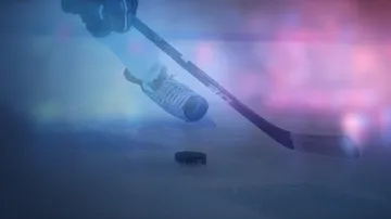 Záznam utkání Česko – Švédsko