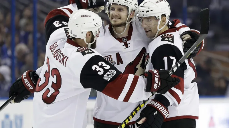 Radim Vrbata se raduje z gólu se spoluhráči