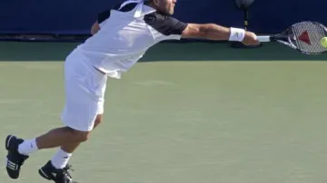Marcos Baghdatis