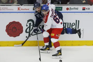 Jiří Ticháček v utkání proti Finsku