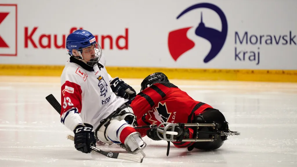 Utkání Česko - Kanada