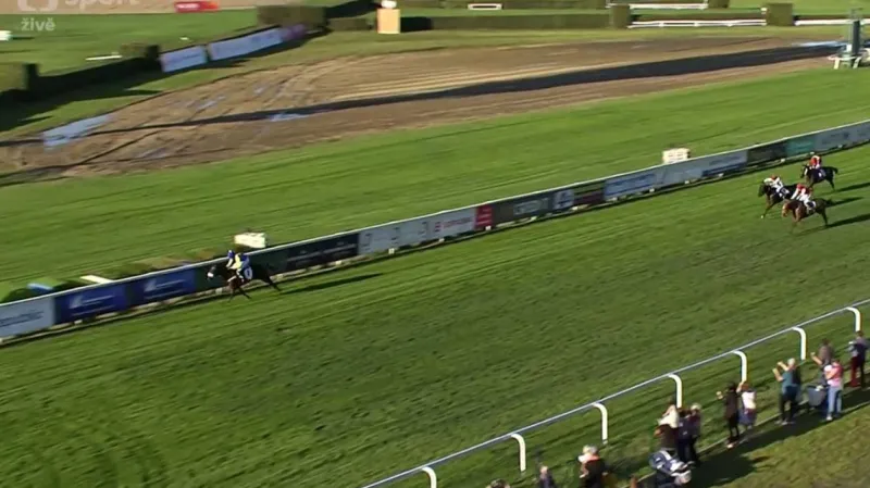 Stříbrnou trofej získal Anaking s Faltejskem