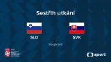 Slovinsko – Slovensko