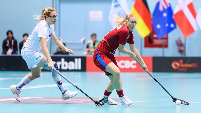 Sestřih utkání Slovensko – Česko