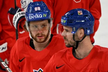 David Pastrňák (vlevo) a David Krejčí