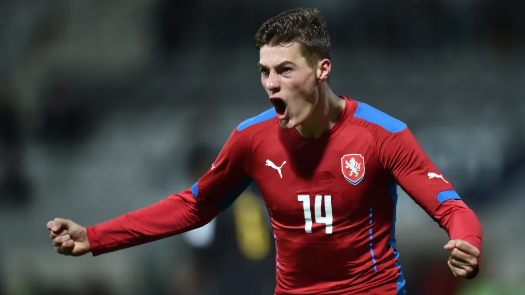 Radost Patrika Schicka