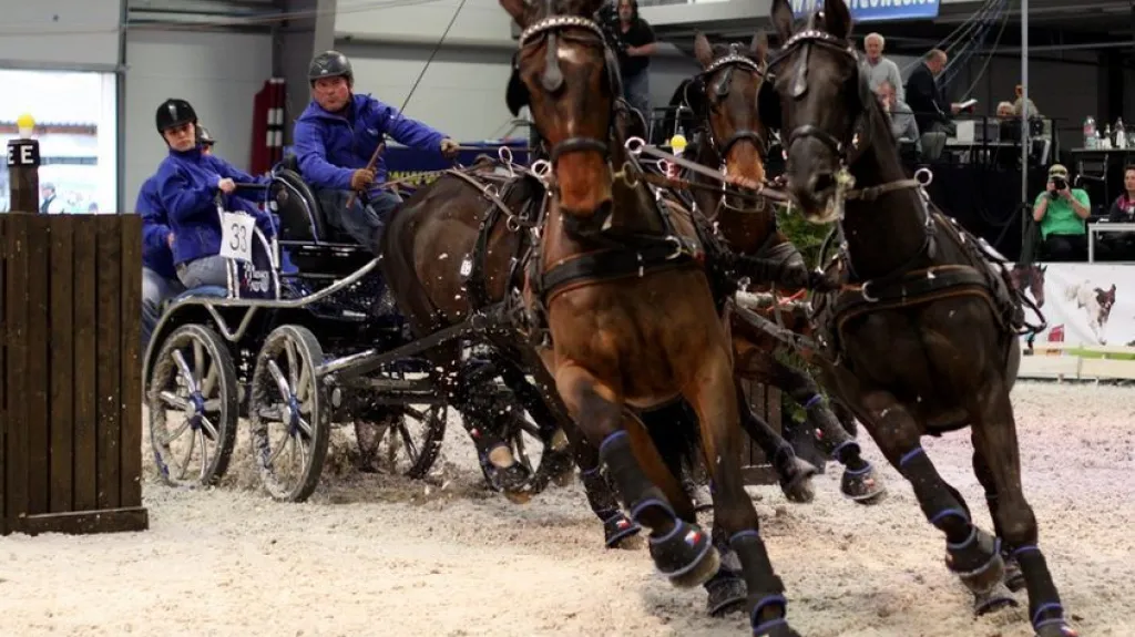Jezdecký festival v Lysé nad Labem