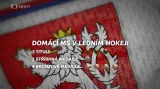 Bilance na domácích MS v ledním hokeji