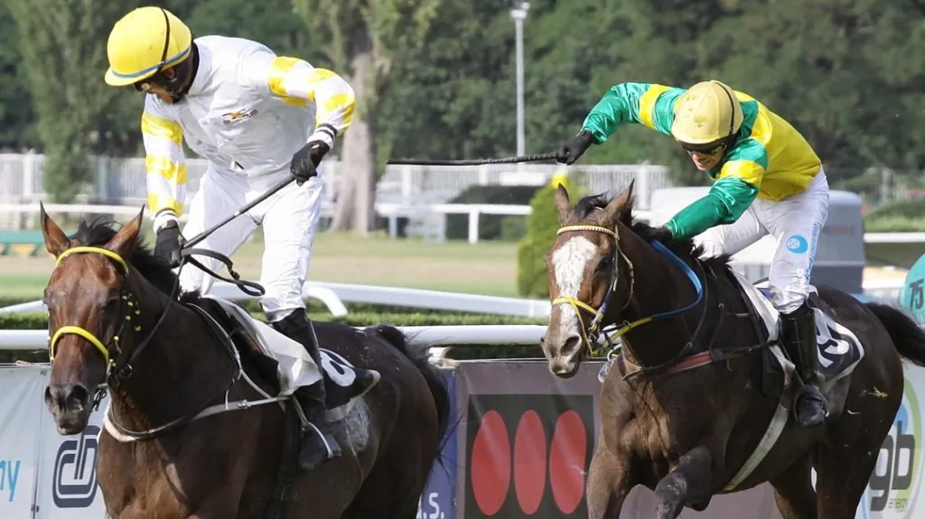 Charme Look a Ange Guardian