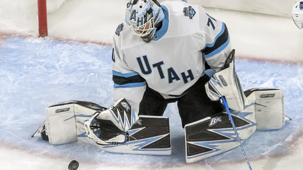 Karel Vejmelka v utkání proti Minnesotě