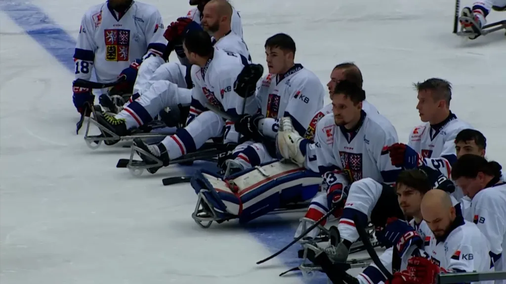 Čeští parahokejisté