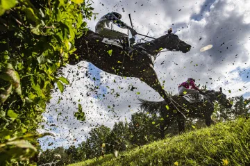 Dostihy v Pardubicích