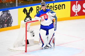 Slovenský brankář Samuel Hlavaj